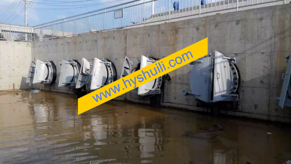 ���ɂ�(c��)��ʽ���T